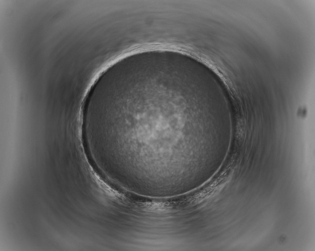 X0000101191508200806271303