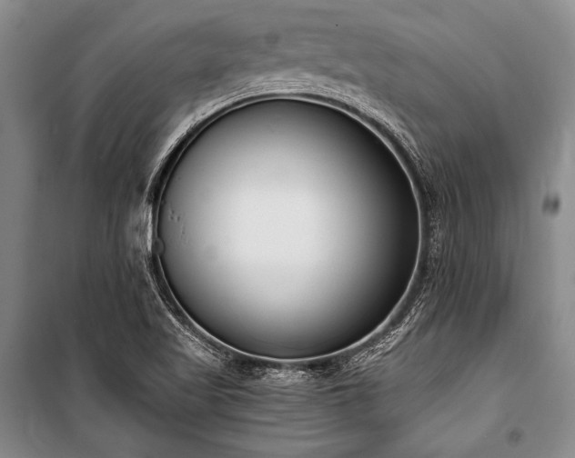X0000101191509200806271303