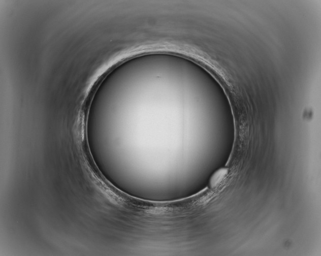 X0000101191510200806271303
