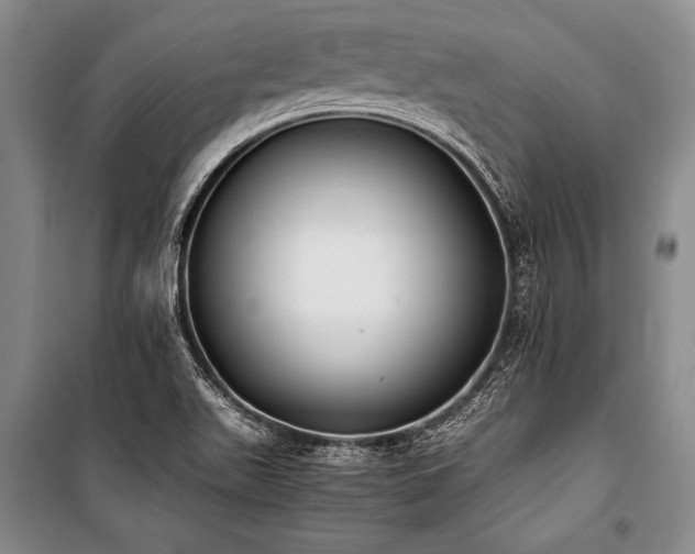 X0000101191511200806271303