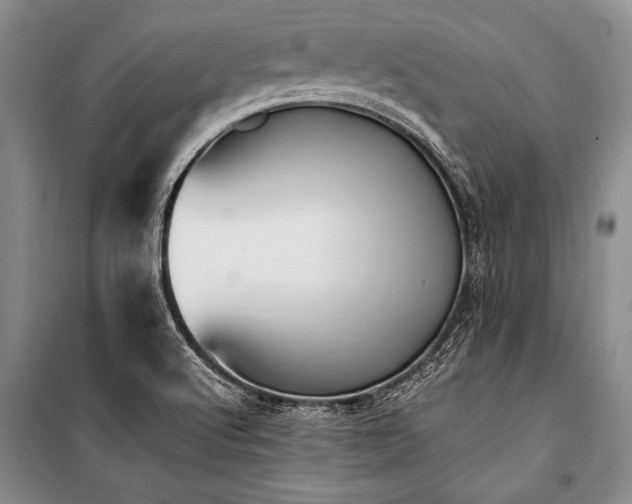 X0000101191512200806271303