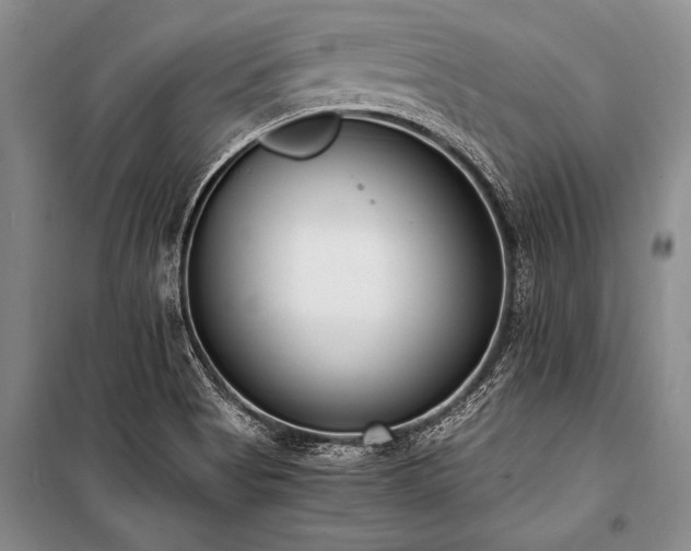 X0000101191513200806271303