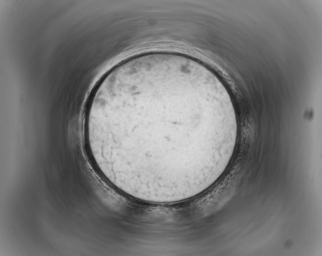 X0000101191514200806271303