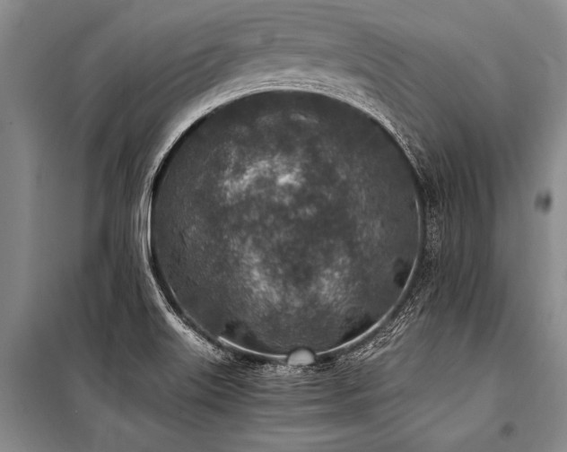 X0000101191515200806271303