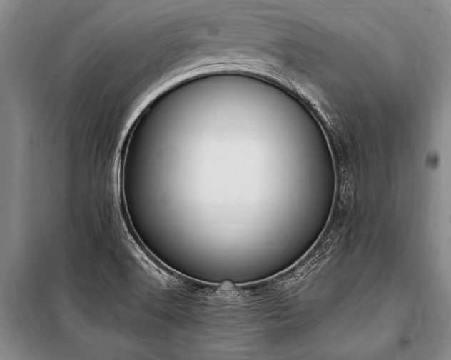 X0000101191516200806271303