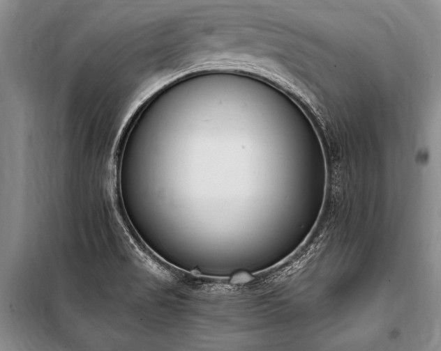 X0000101191517200806271303