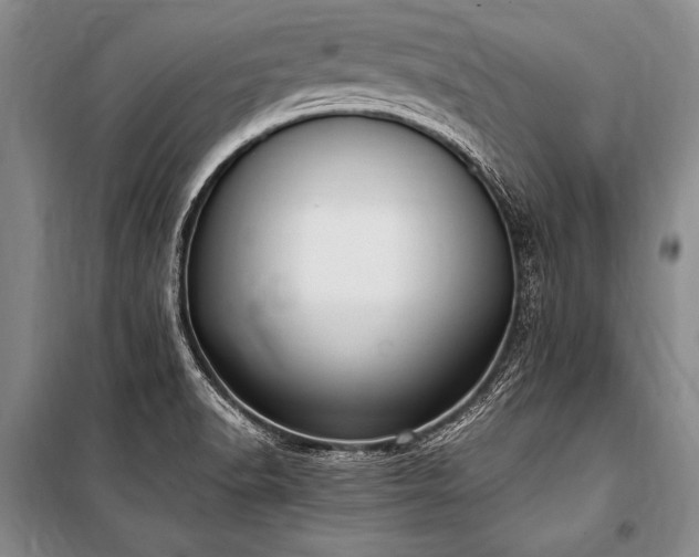 X0000101191518200806271303