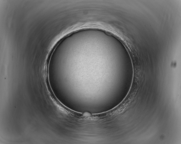 X0000101191519200806271303