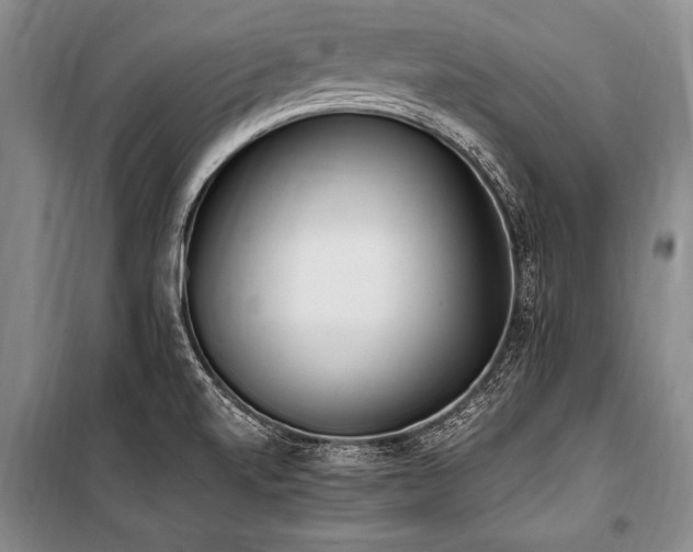X0000101191520200806271303