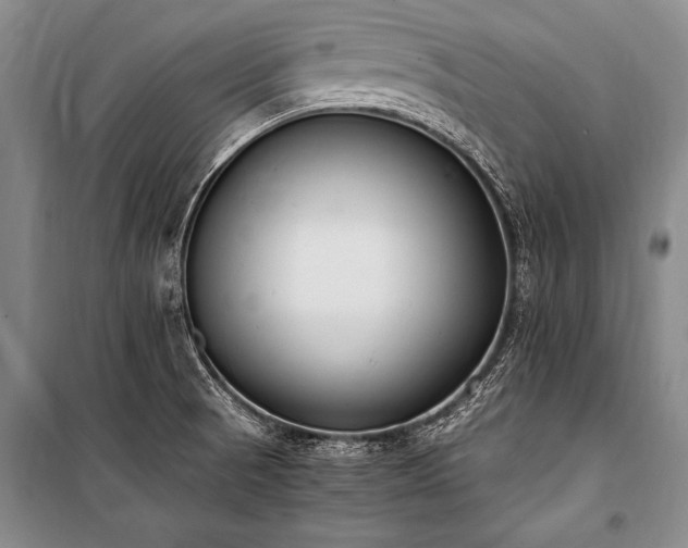 X0000101191521200806271303