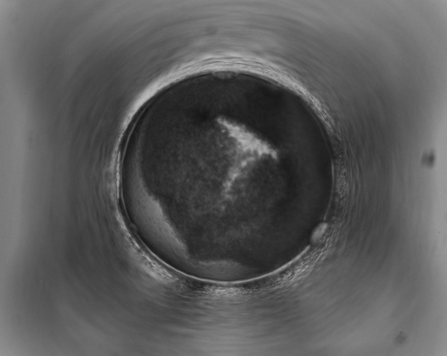 X0000101191522200806271303