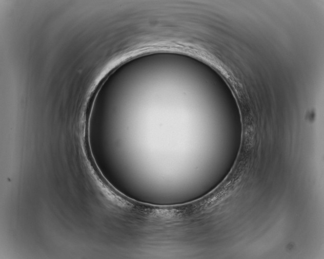 X0000101191523200806271303