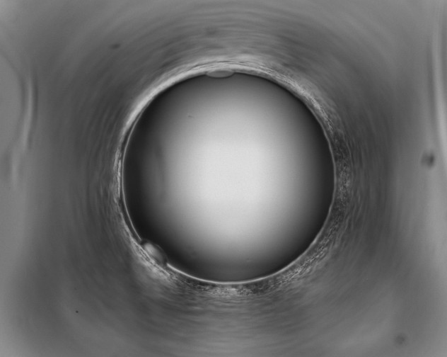 X0000101191524200806271303
