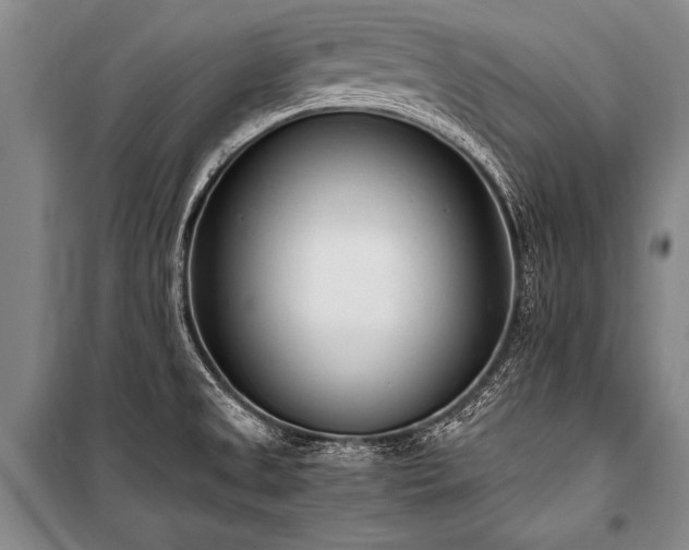 X0000101191525200806271303