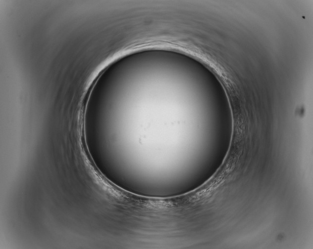 X0000101191526200806271303