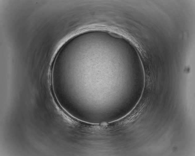 X0000101191527200806271303