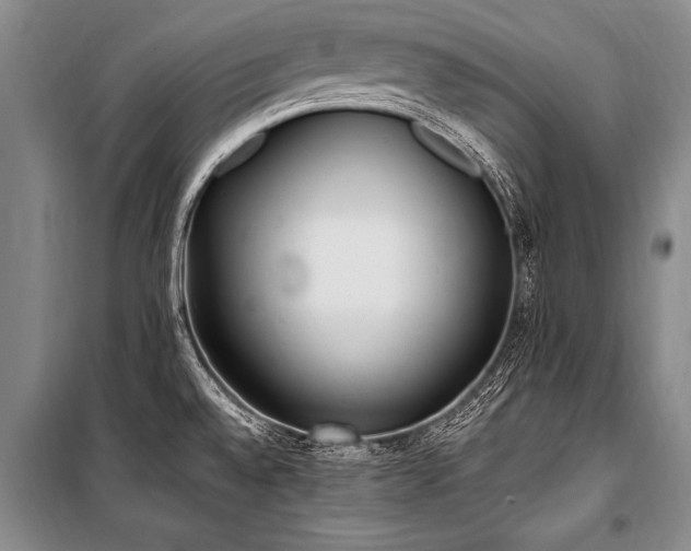 X0000101191528200806271303