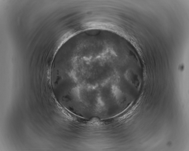 X0000101191529200806271303