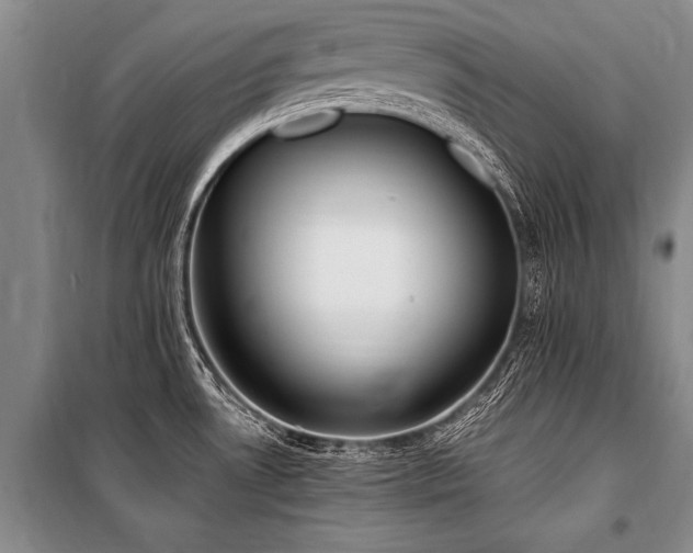 X0000101191530200806271303