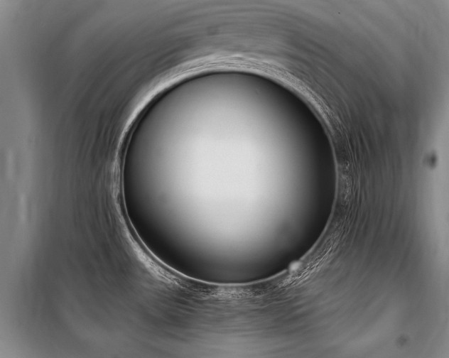 X0000101191531200806271303