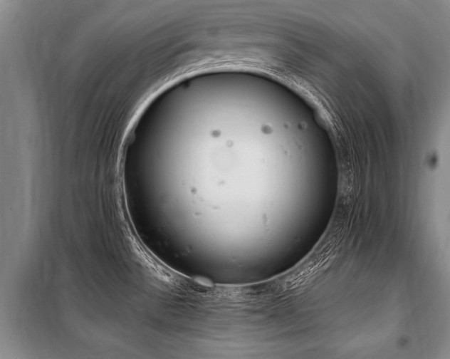 X0000101191532200806271303