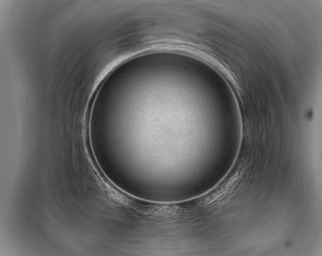 X0000101191533200806271303