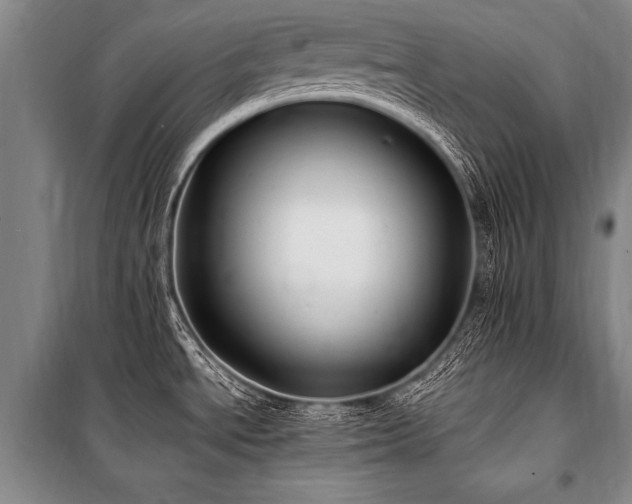 X0000101191534200806271303