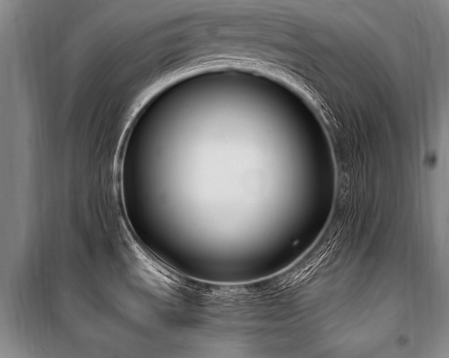 X0000101191535200806271303