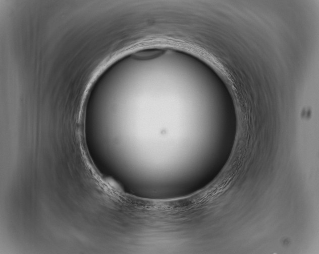 X0000101191536200806271303
