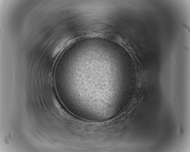 X0000101190002200807071325