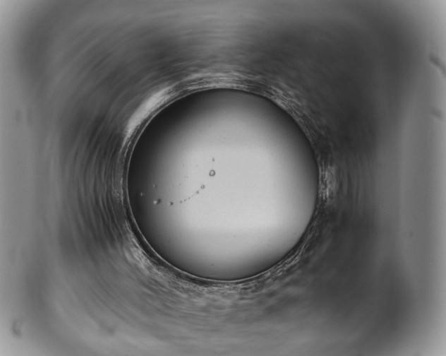 X0000101190004200807071325