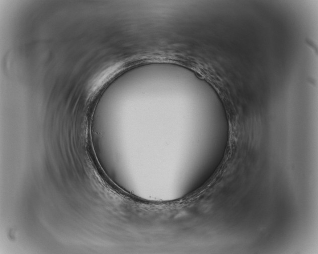 X0000101190005200807071325