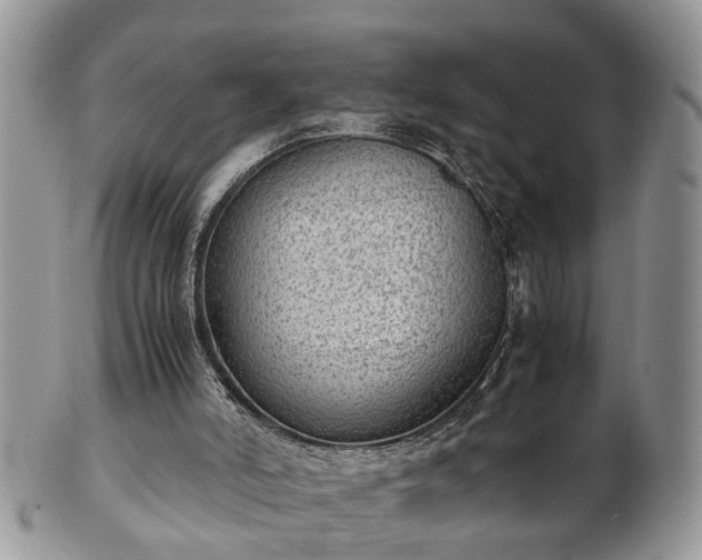 X0000101190006200807071325