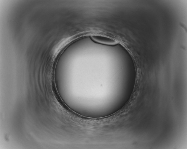 X0000101190007200807071325