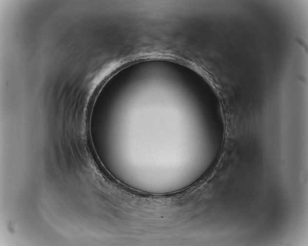 X0000101190008200807071325