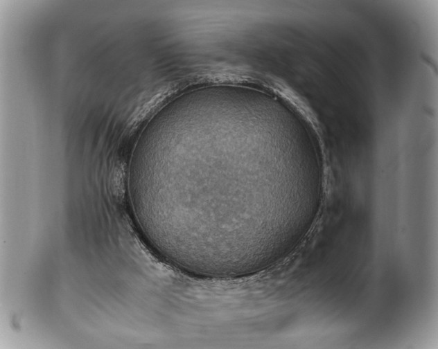 X0000101190009200807071325