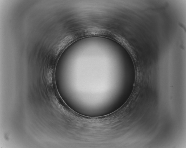 X0000101190010200807071325