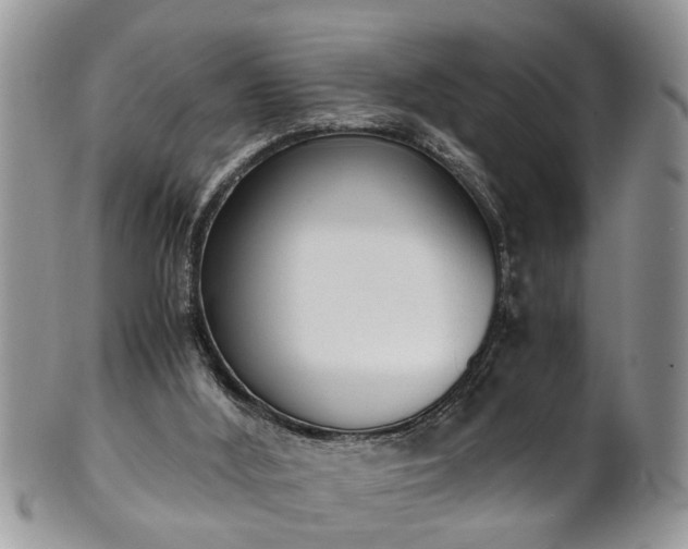 X0000101190012200807071325