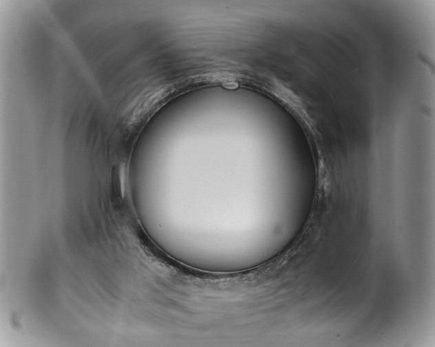 X0000101190013200807071325