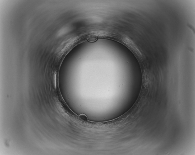 X0000101190014200807071325