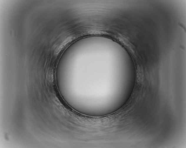 X0000101190015200807071325