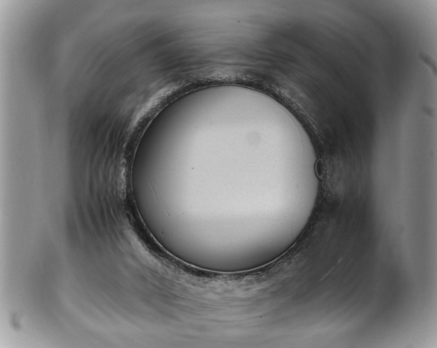 X0000101190016200807071325