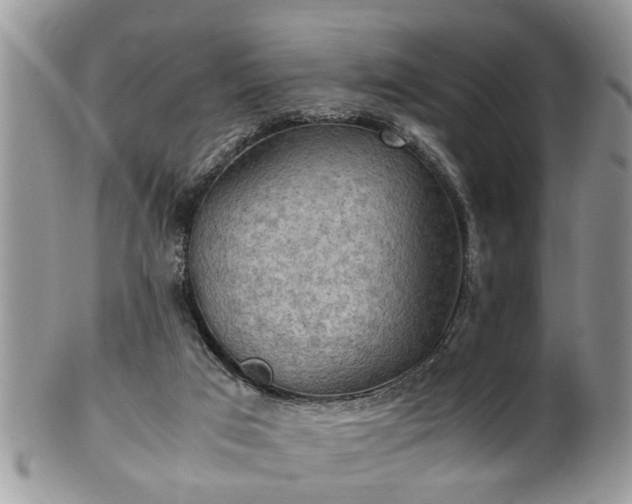 X0000101190017200807071325