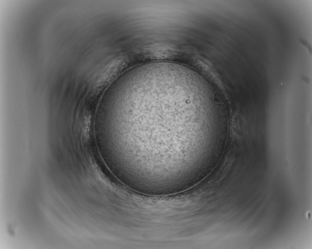 X0000101190018200807071325