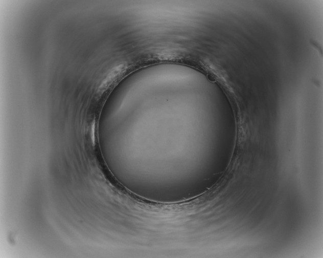 X0000101190019200807071325