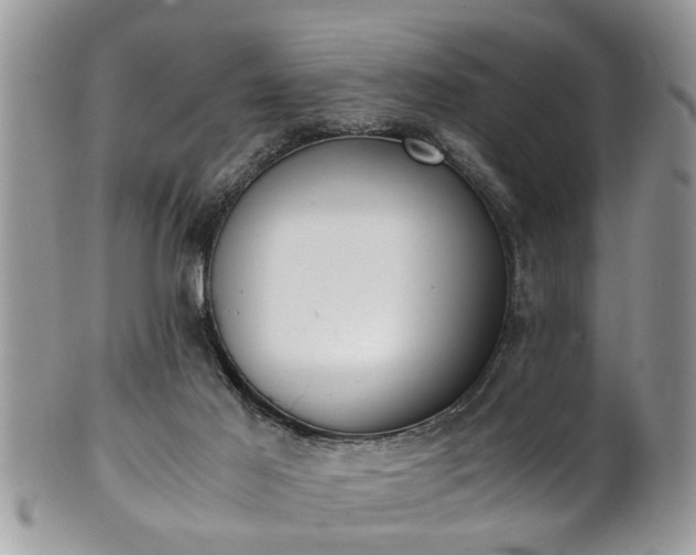 X0000101190021200807071325