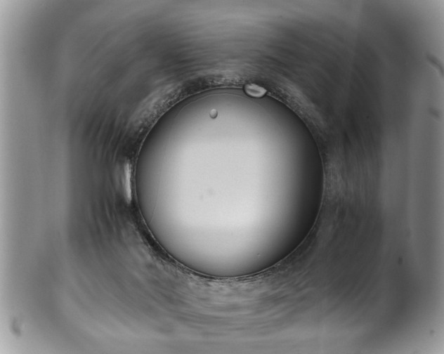 X0000101190022200807071325