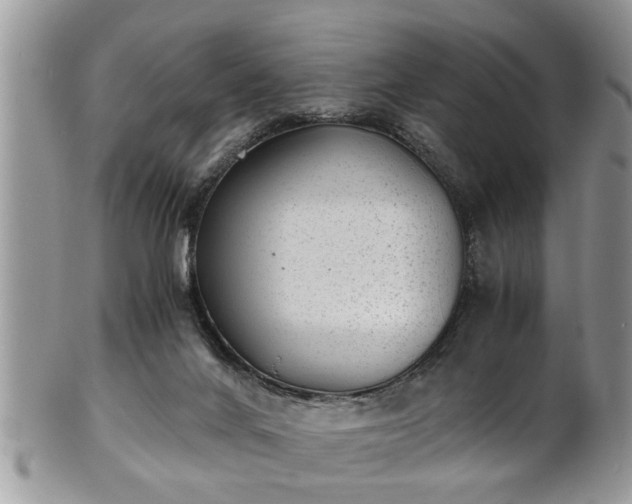 X0000101190024200807071325
