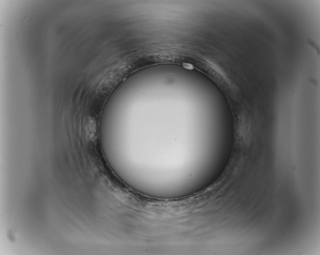 X0000101190025200807071325