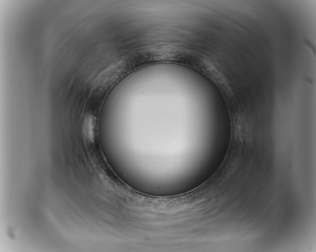 X0000101190026200807071325